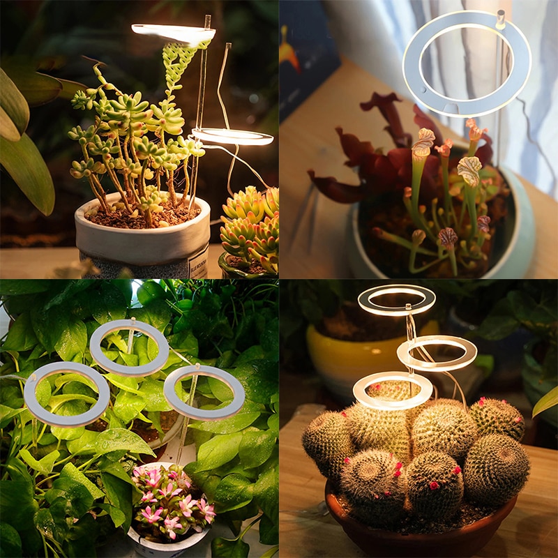 반지 식물 성장 빛 USB 분재 Phytolamp 식물 실내 식물 모종에 대 한 Led 전체 스펙트럼 램프 홈 꽃 Succulet